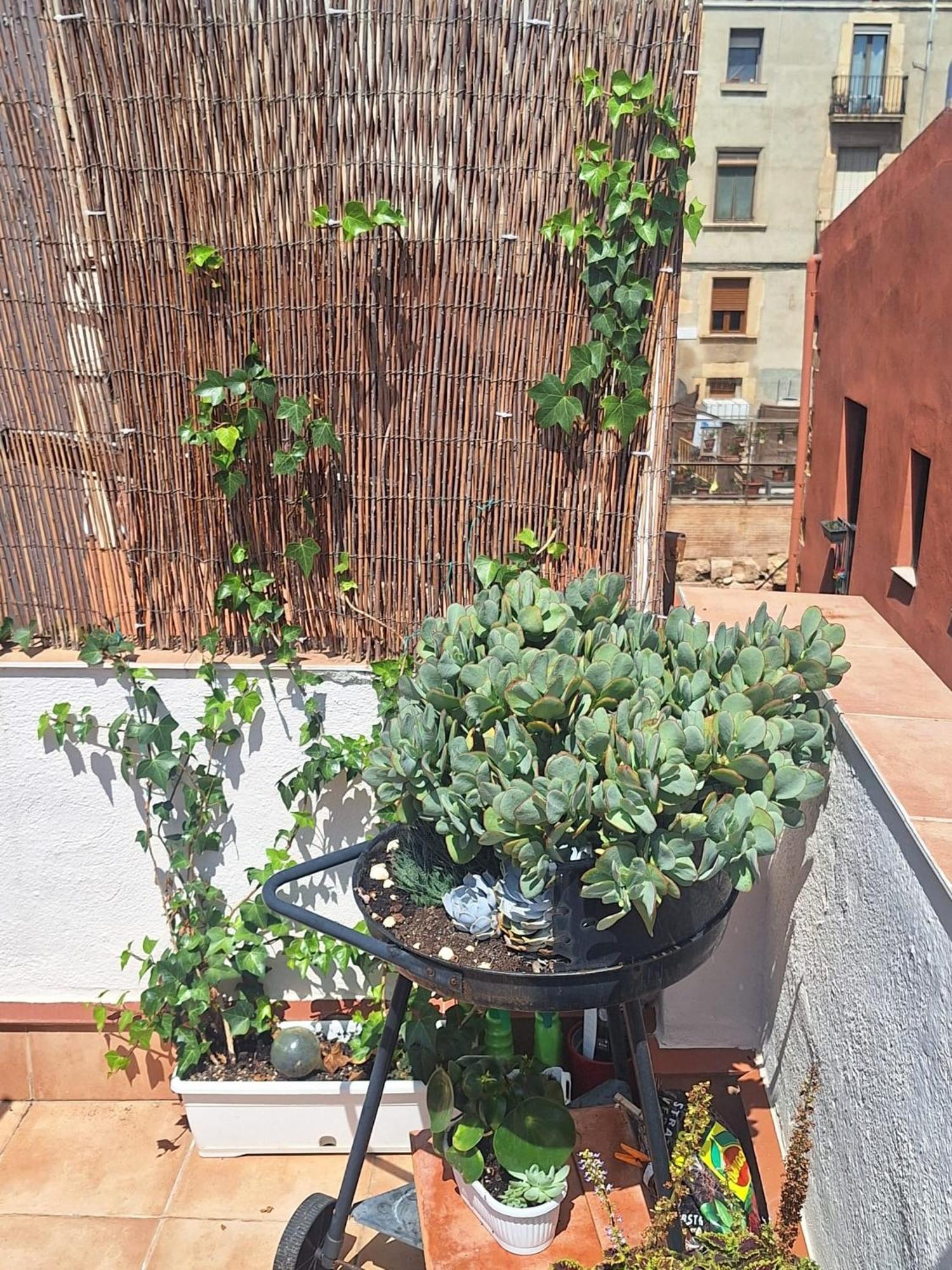 El Terrat De La Tecla - Duplex Casc Antic Lägenhet Tarragona Exteriör bild